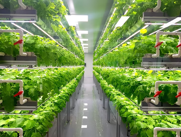 LED Lighting for Farms / Agriculture